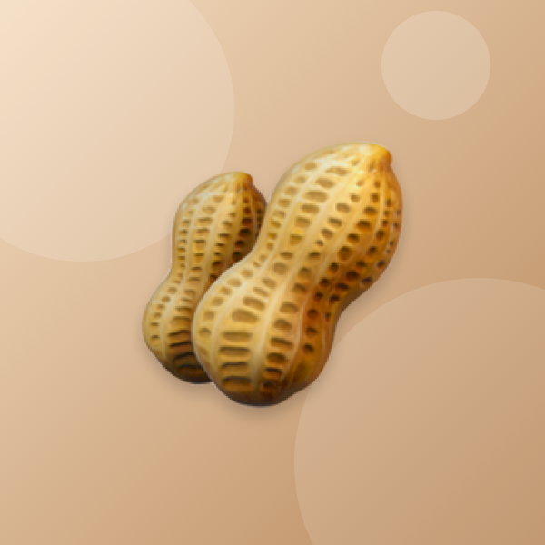 Dry Fruit Box
